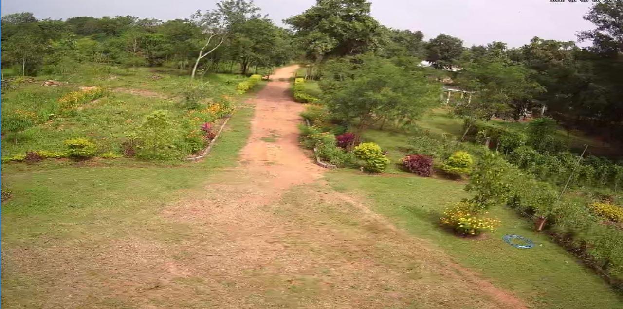 Peacock Resort Anuradhapura Exteriör bild