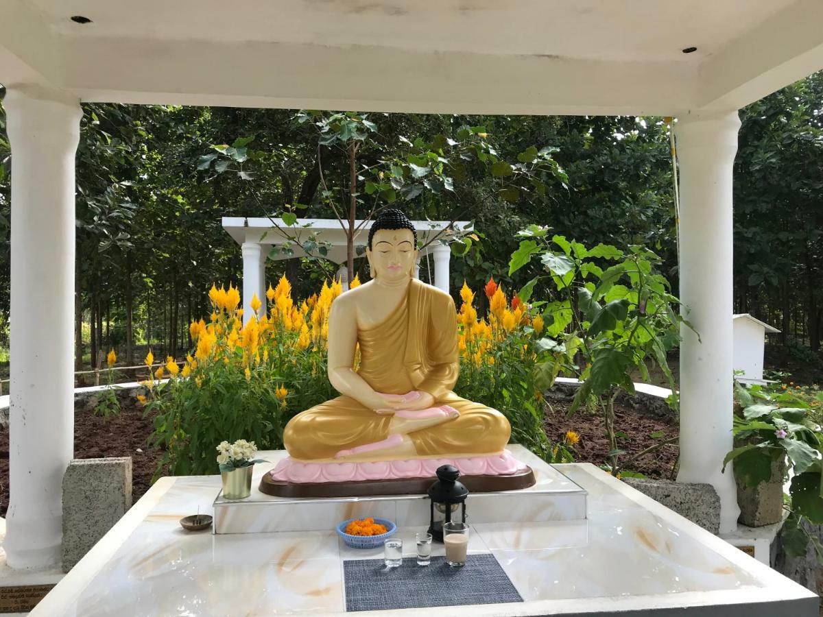 Peacock Resort Anuradhapura Exteriör bild