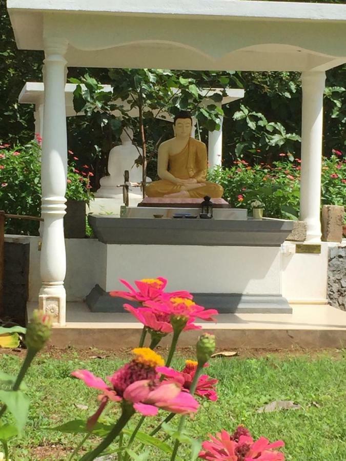 Peacock Resort Anuradhapura Exteriör bild