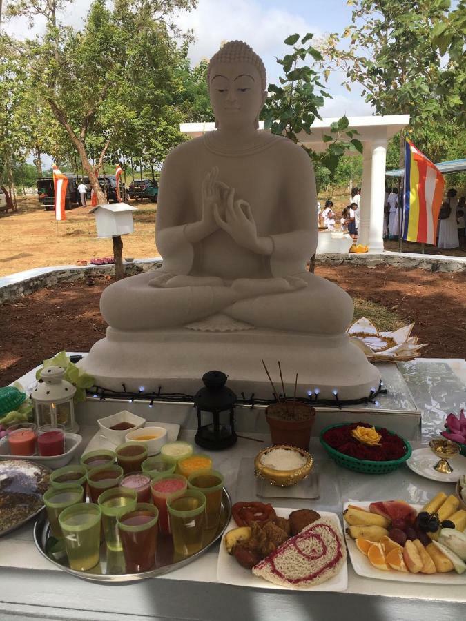 Peacock Resort Anuradhapura Exteriör bild